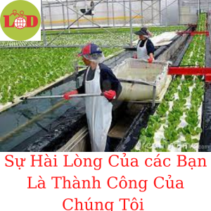 23/11 ĐƠN HÀNG NÔNG NGHIỆP CÂY GIỐNG